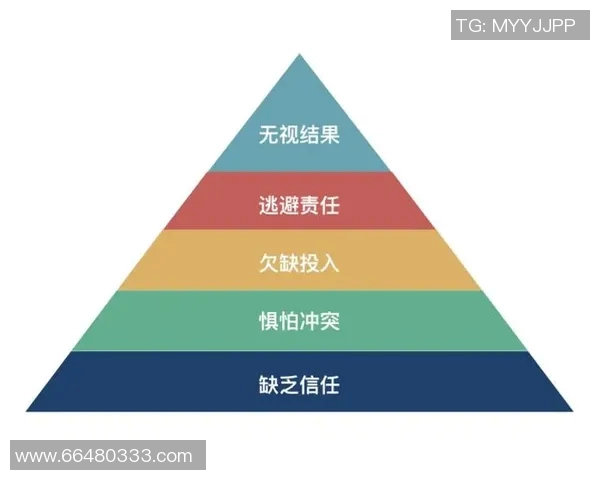 实时新闻上海滑板队团队协作的变革与热议背后的故事与启示